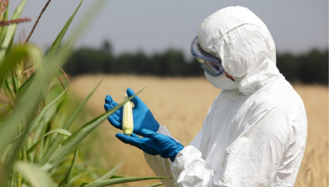 Progetto-senza-titolo-20