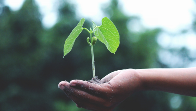 Progetto-senza-titolo-26